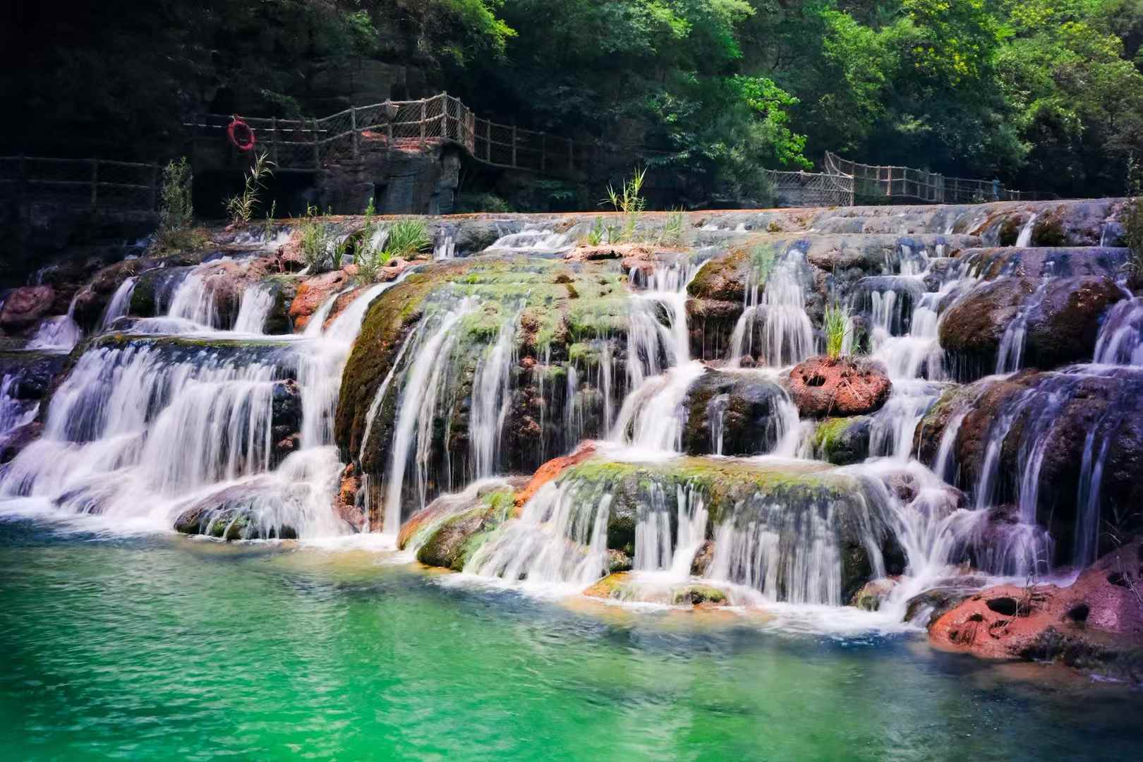 松夏醫電-3.jpg